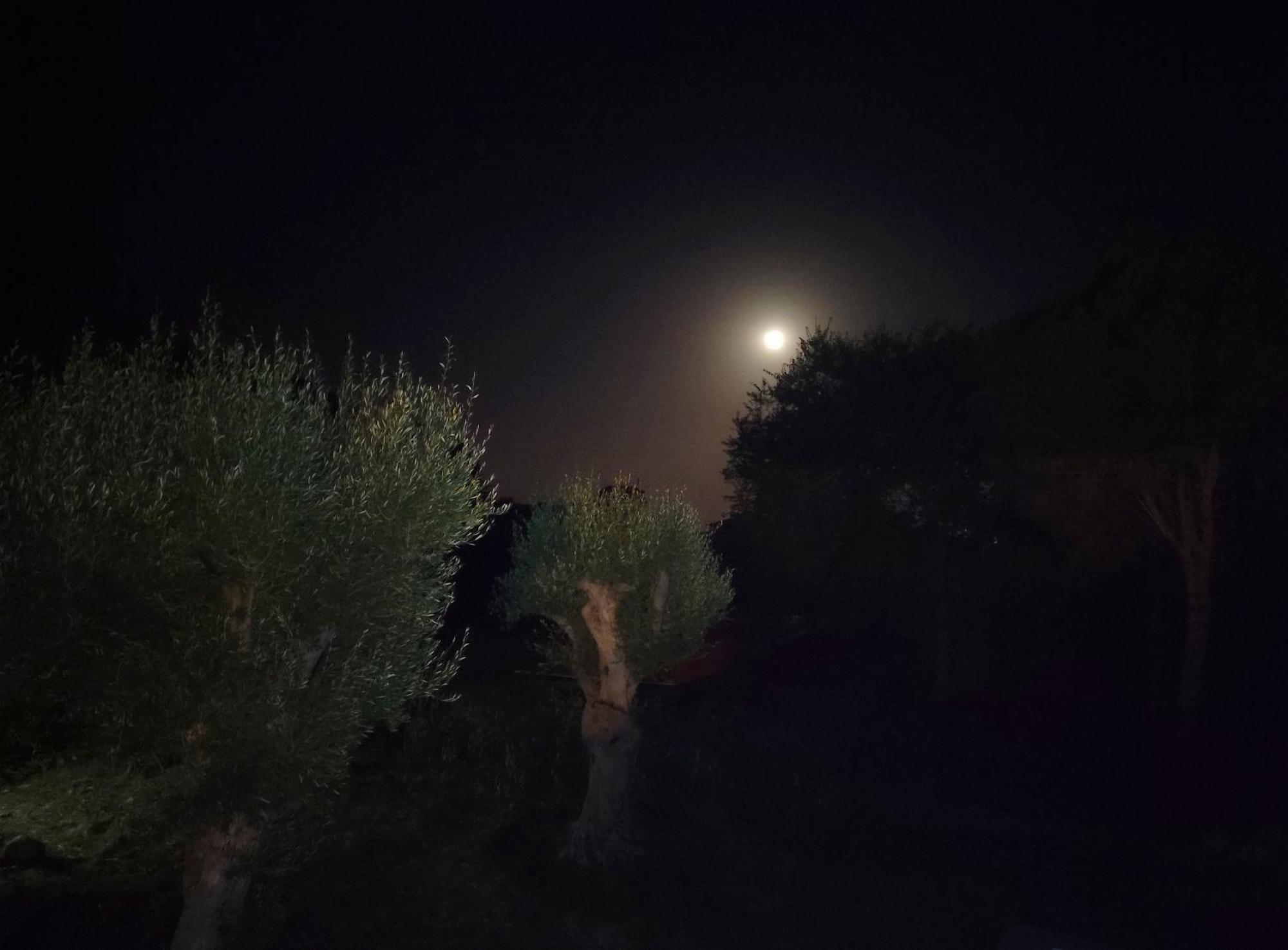 Villa Orizzonte Sullo Jonio Avola Buitenkant foto