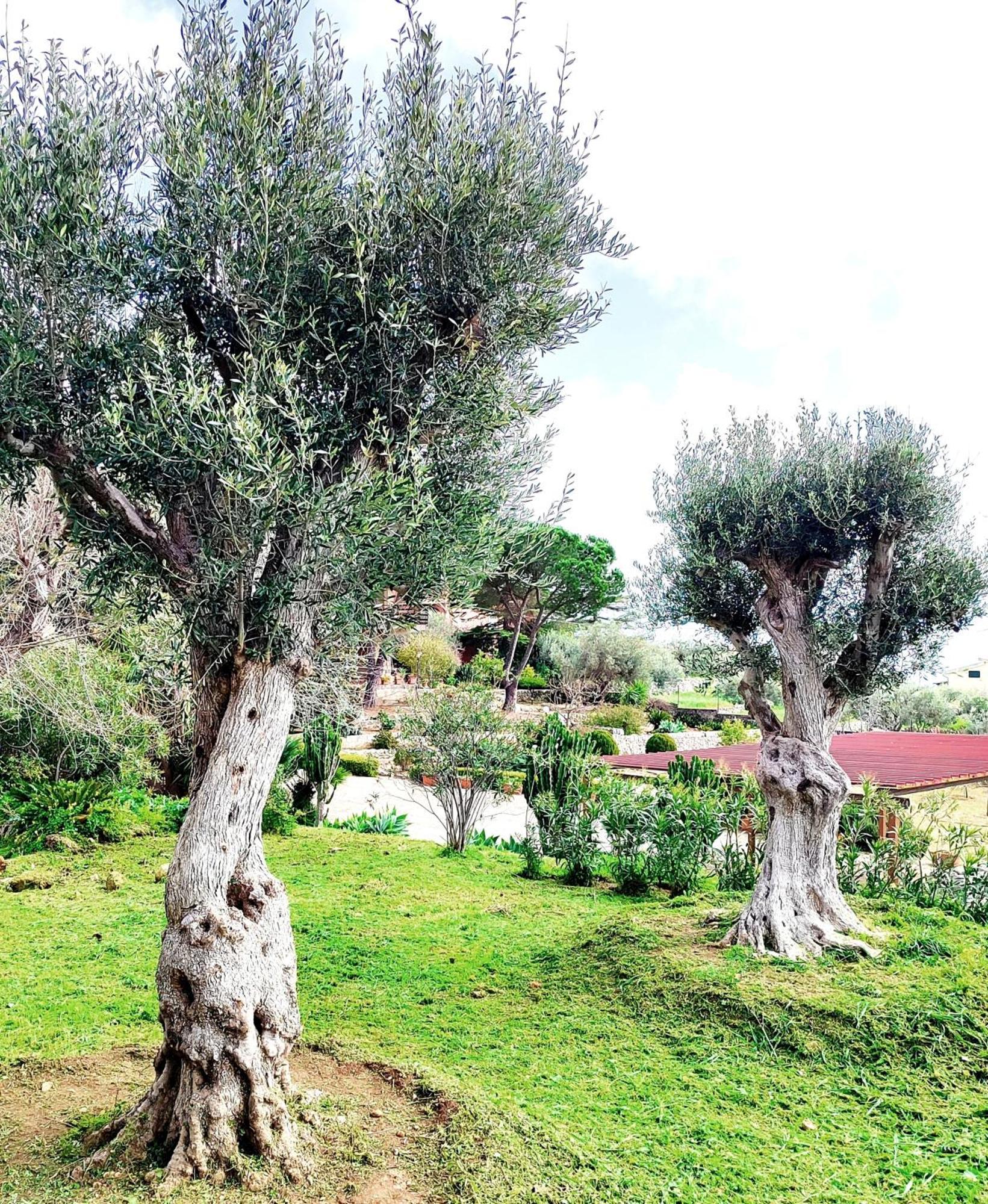 Villa Orizzonte Sullo Jonio Avola Buitenkant foto